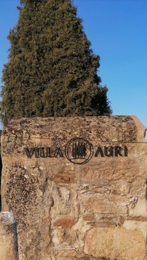 Villa Auri Вила-Нова-ди-Фош-Коа Экстерьер фото