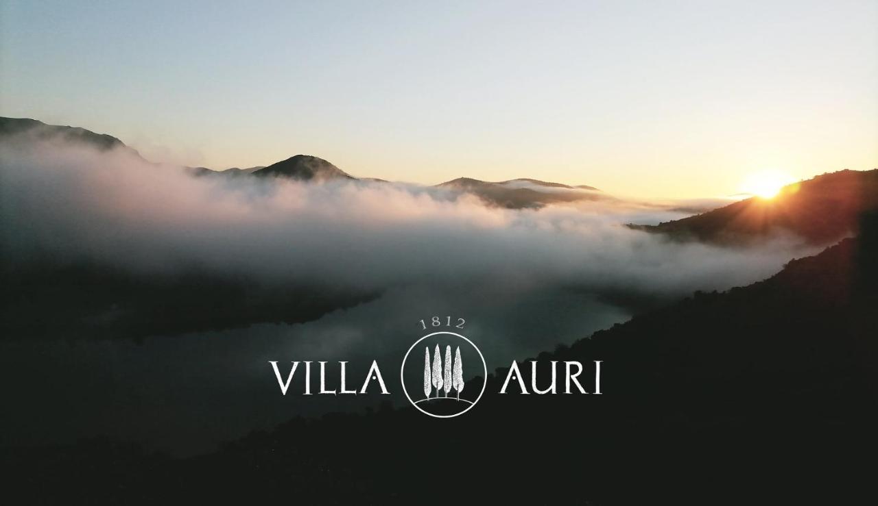 Villa Auri Вила-Нова-ди-Фош-Коа Экстерьер фото